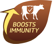 IFB Agro