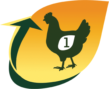 IFB Agro
